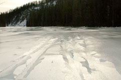 Вода под корочкой льда на реке Шумак